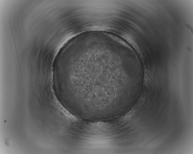 X0000103140992200809051610