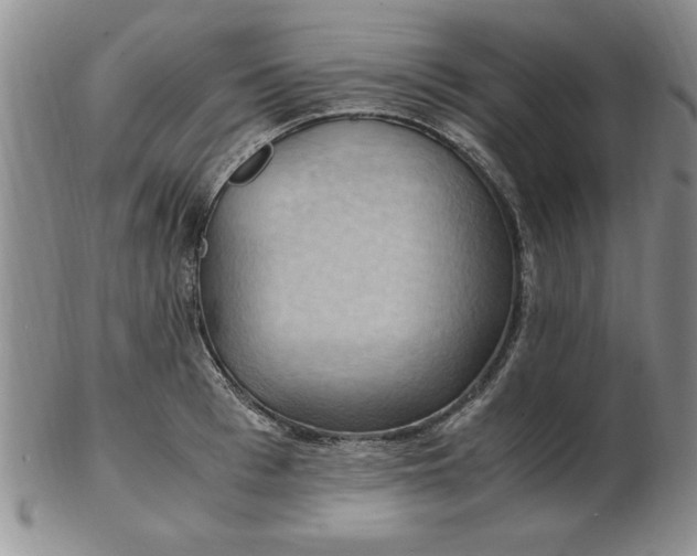 X0000103140993200809051610