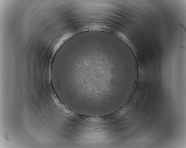 X0000103140994200809051610