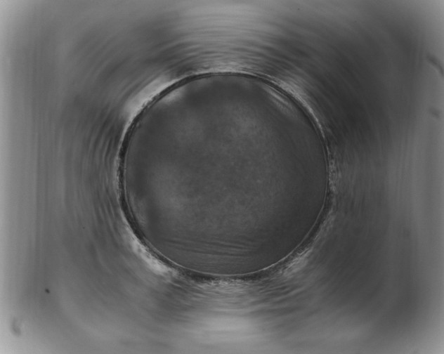 X0000103140995200809051610