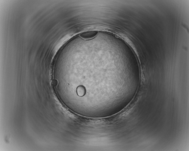 X0000103140997200809051610