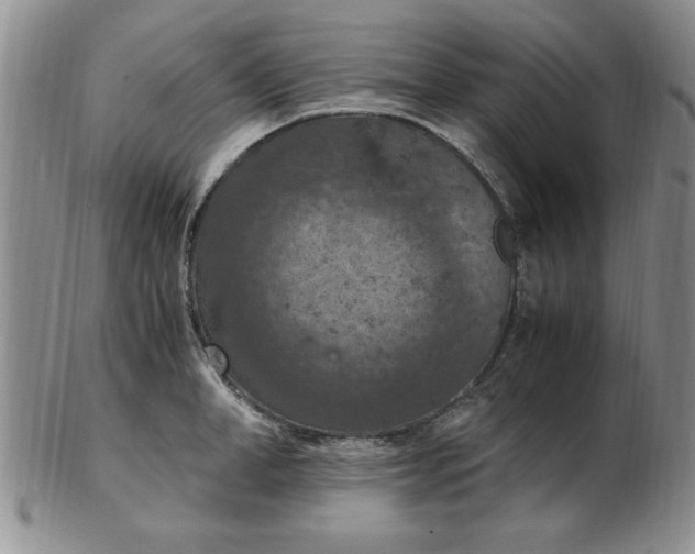 X0000103140998200809051610