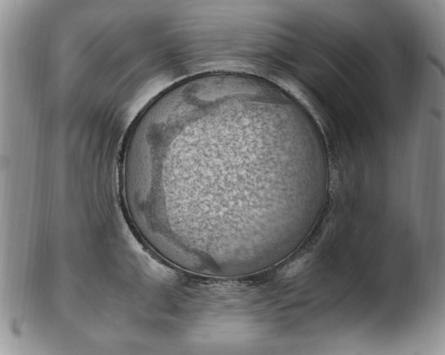 X0000103140999200809051610