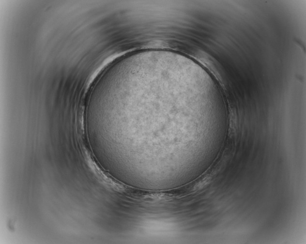 X0000103141000200809051610