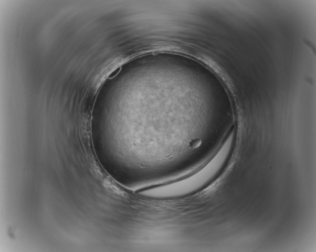 X0000103141001200809051610