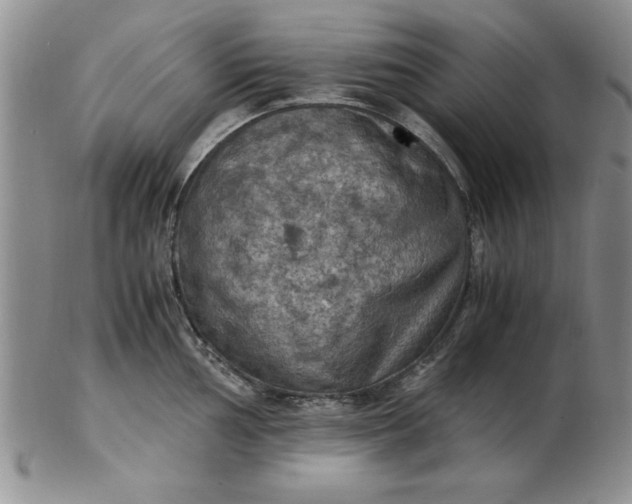 X0000103141002200809051610