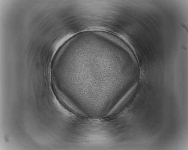 X0000103141003200809051610