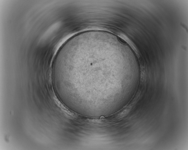 X0000103141004200809051610