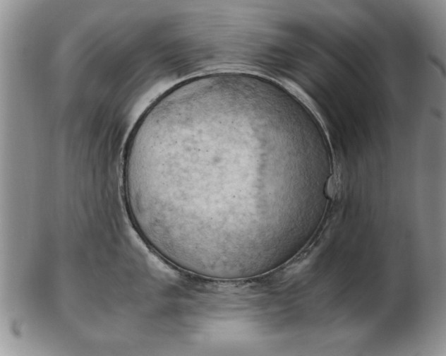 X0000103141005200809051610