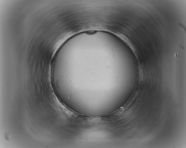 X0000103141006200809051610