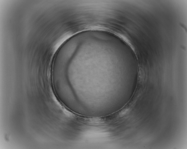 X0000103141007200809051610