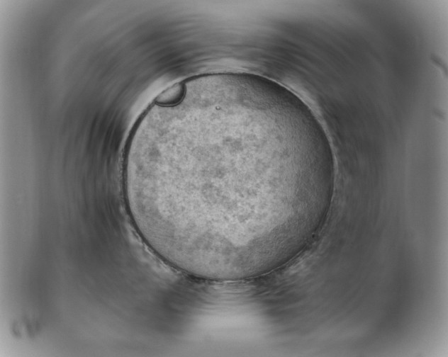 X0000103141008200809051610