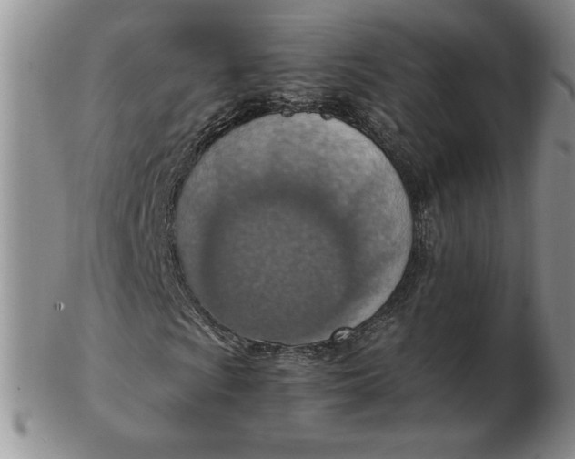 X0000103141009200809051609