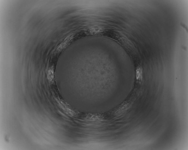 X0000103141011200809051609