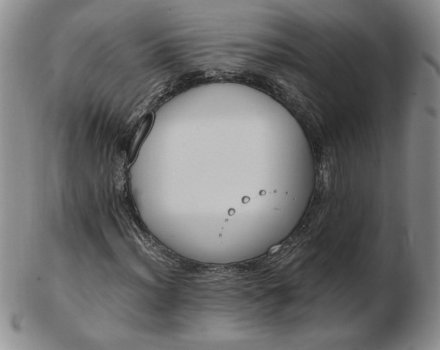 X0000103141012200809051609