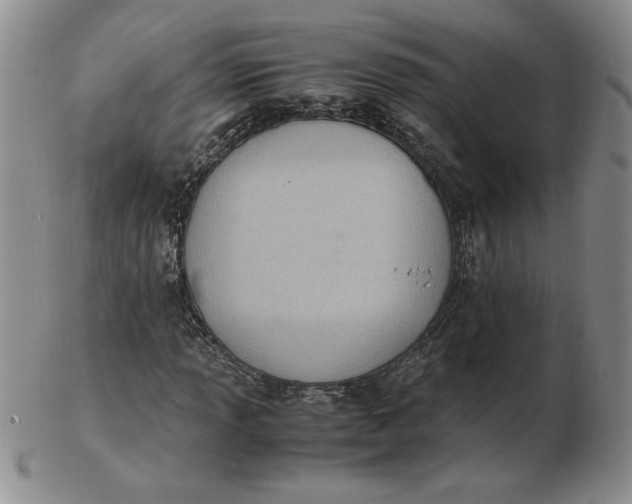 X0000103141013200809051609