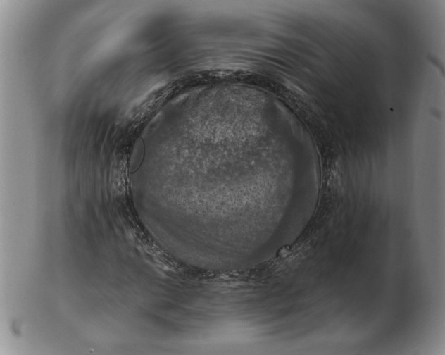 X0000103141014200809051609