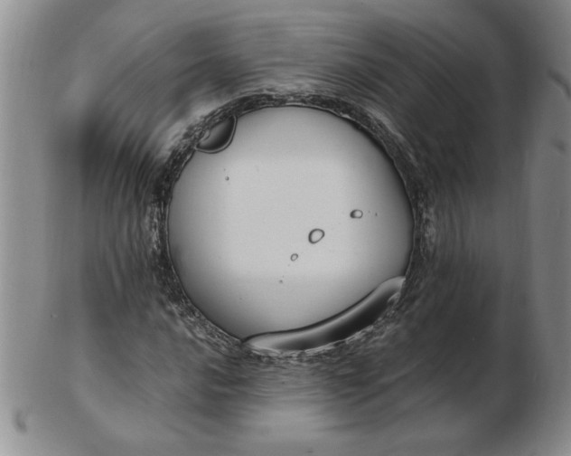 X0000103141016200809051609