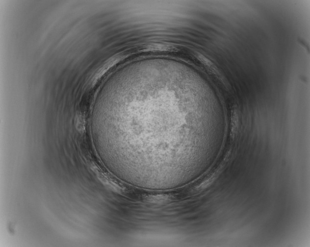 X0000103141017200809051609