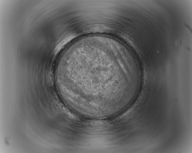 X0000103141018200809051609