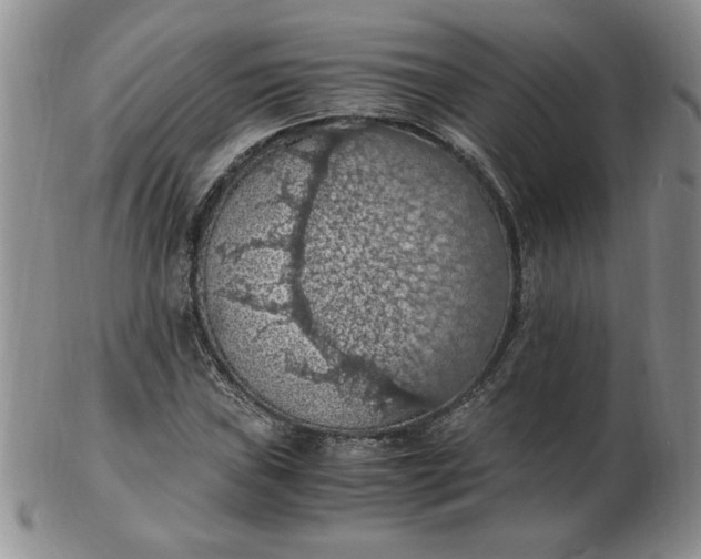 X0000103141019200809051609