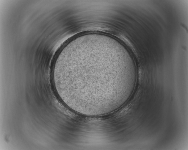 X0000103141020200809051609