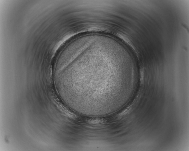 X0000103141021200809051609