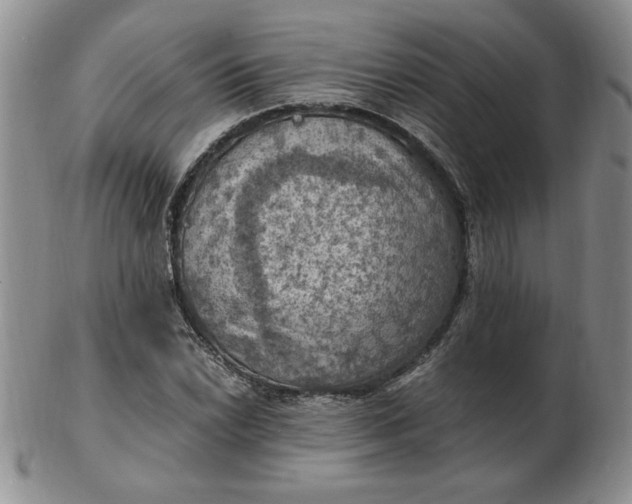 X0000103141022200809051609