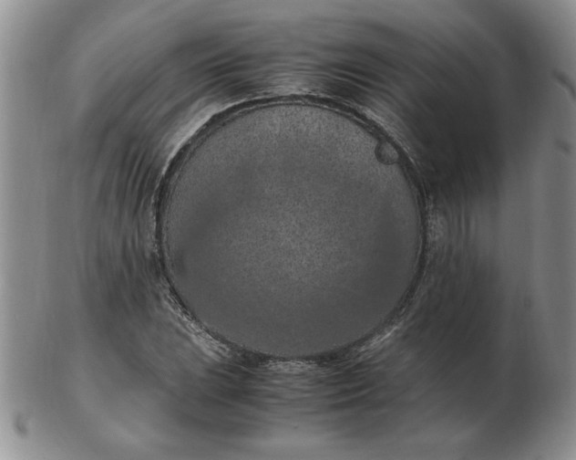 X0000103141023200809051609