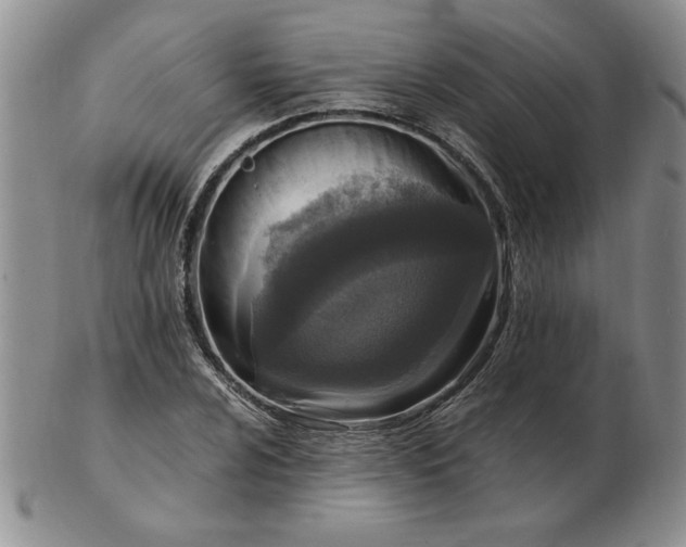 X0000103141024200809051609