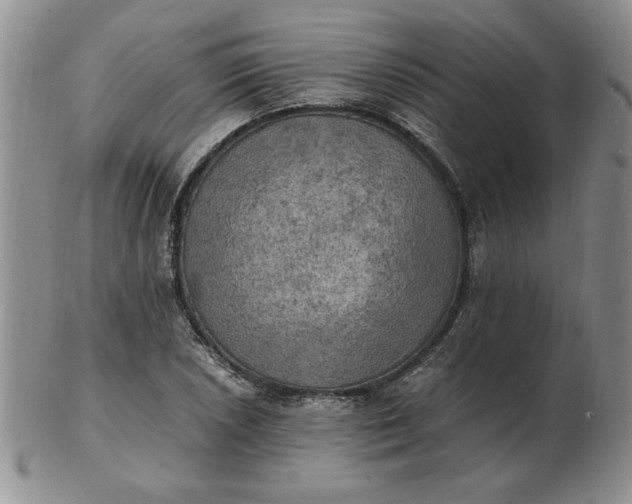 X0000103141026200809051609