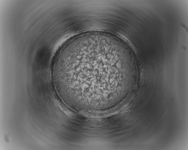 X0000103141027200809051609