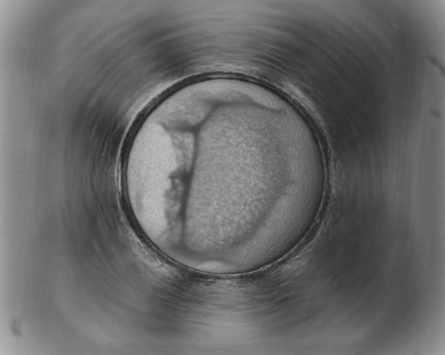 X0000103141028200809051609