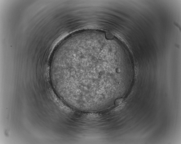 X0000103141029200809051610