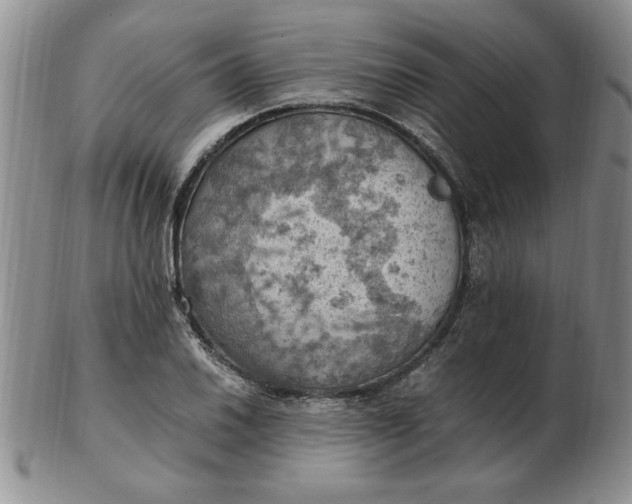 X0000103141030200809051610