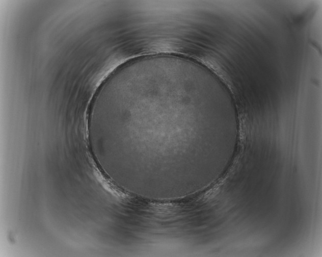 X0000103141031200809051610