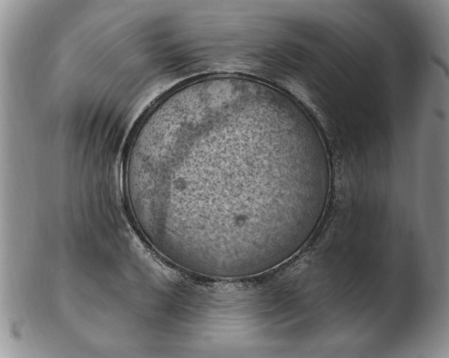 X0000103141032200809051610