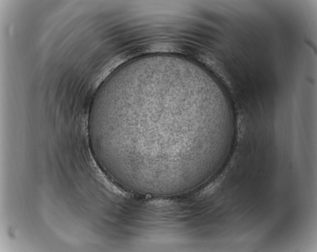 X0000103141033200809051610