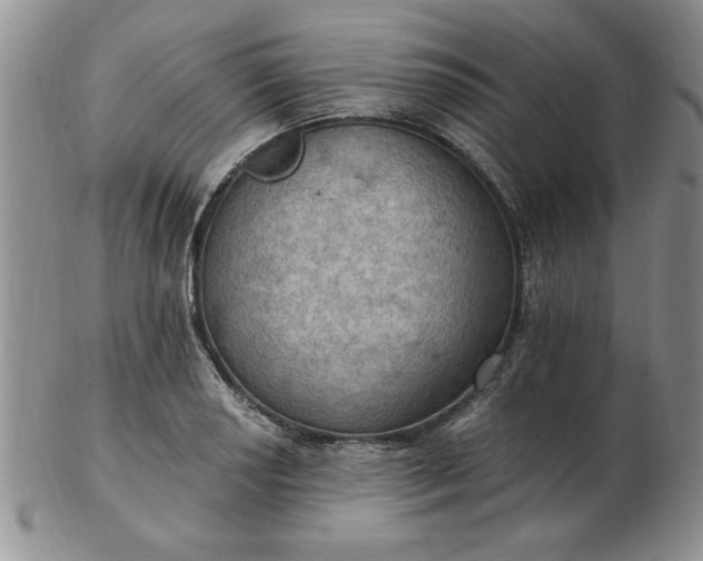 X0000103141034200809051610