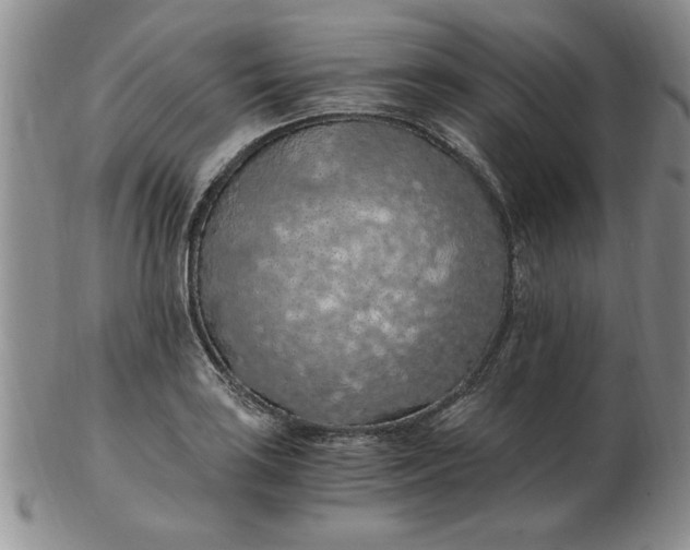 X0000103141035200809051610