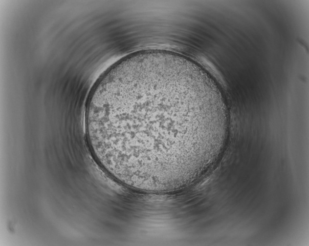 X0000103141036200809051610