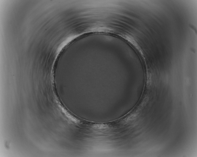 X0000103141037200809051610