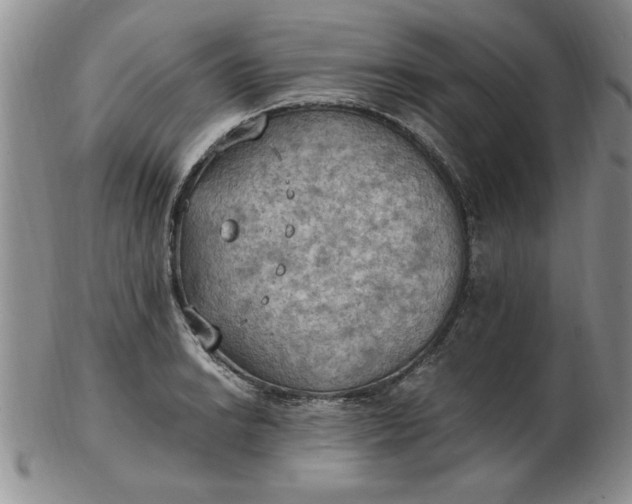 X0000103141038200809051610