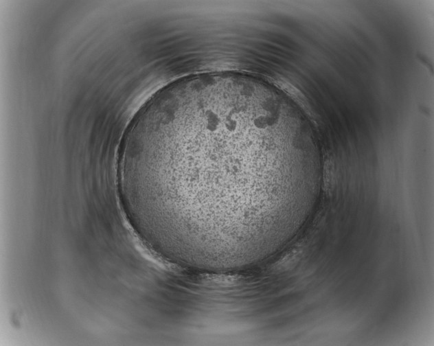 X0000103141039200809051610