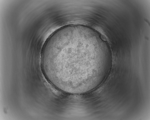 X0000103141040200809051610