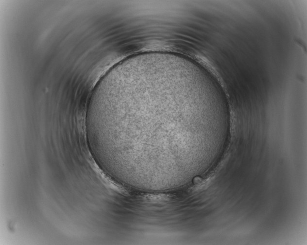 X0000103141041200809051610