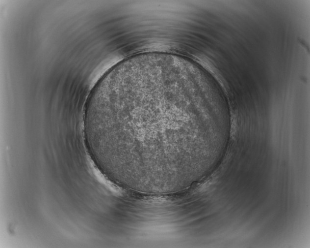 X0000103141042200809051610