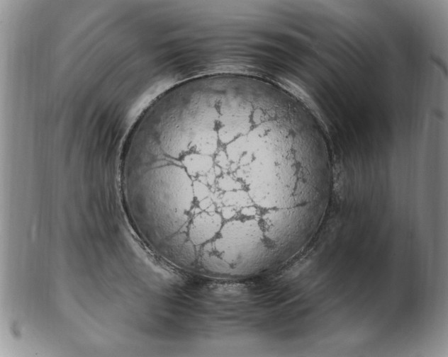 X0000103141043200809051610