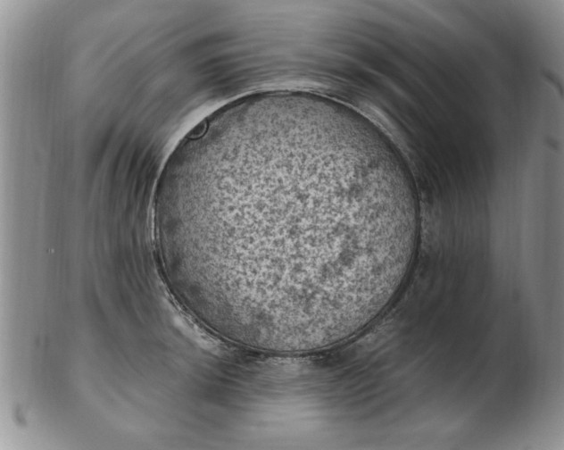 X0000103141044200809051610