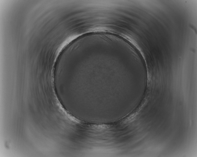 X0000103141045200809051610